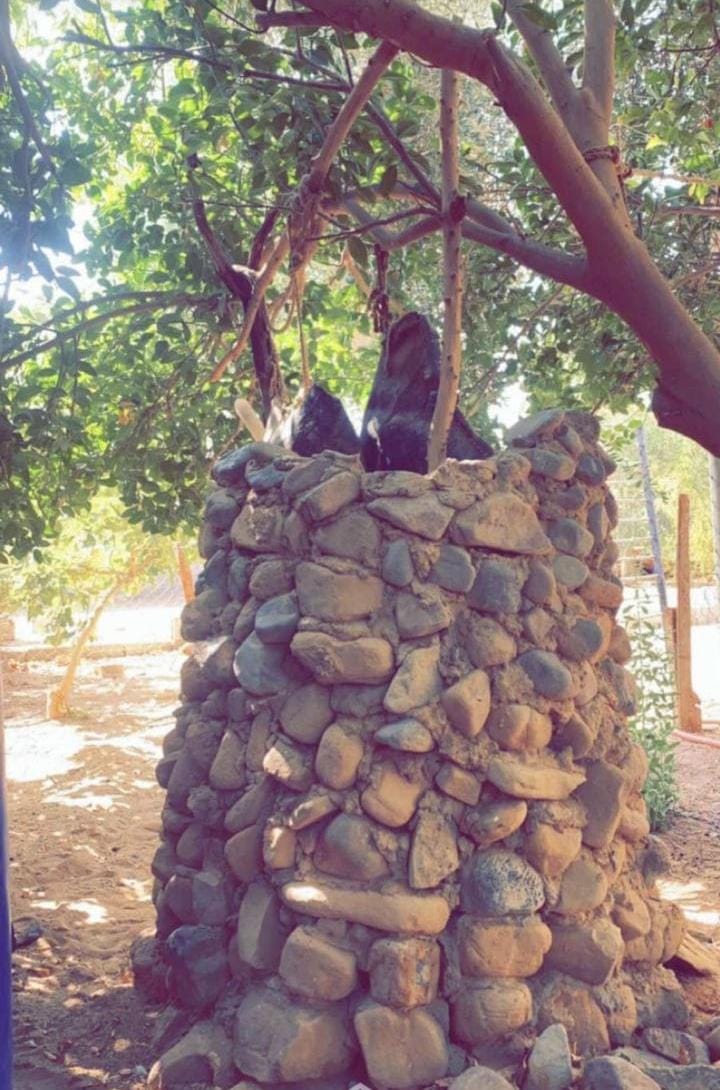 aljdt3's tweet photo. متحفي الصغير https://t.co/mkJbgmIdIp