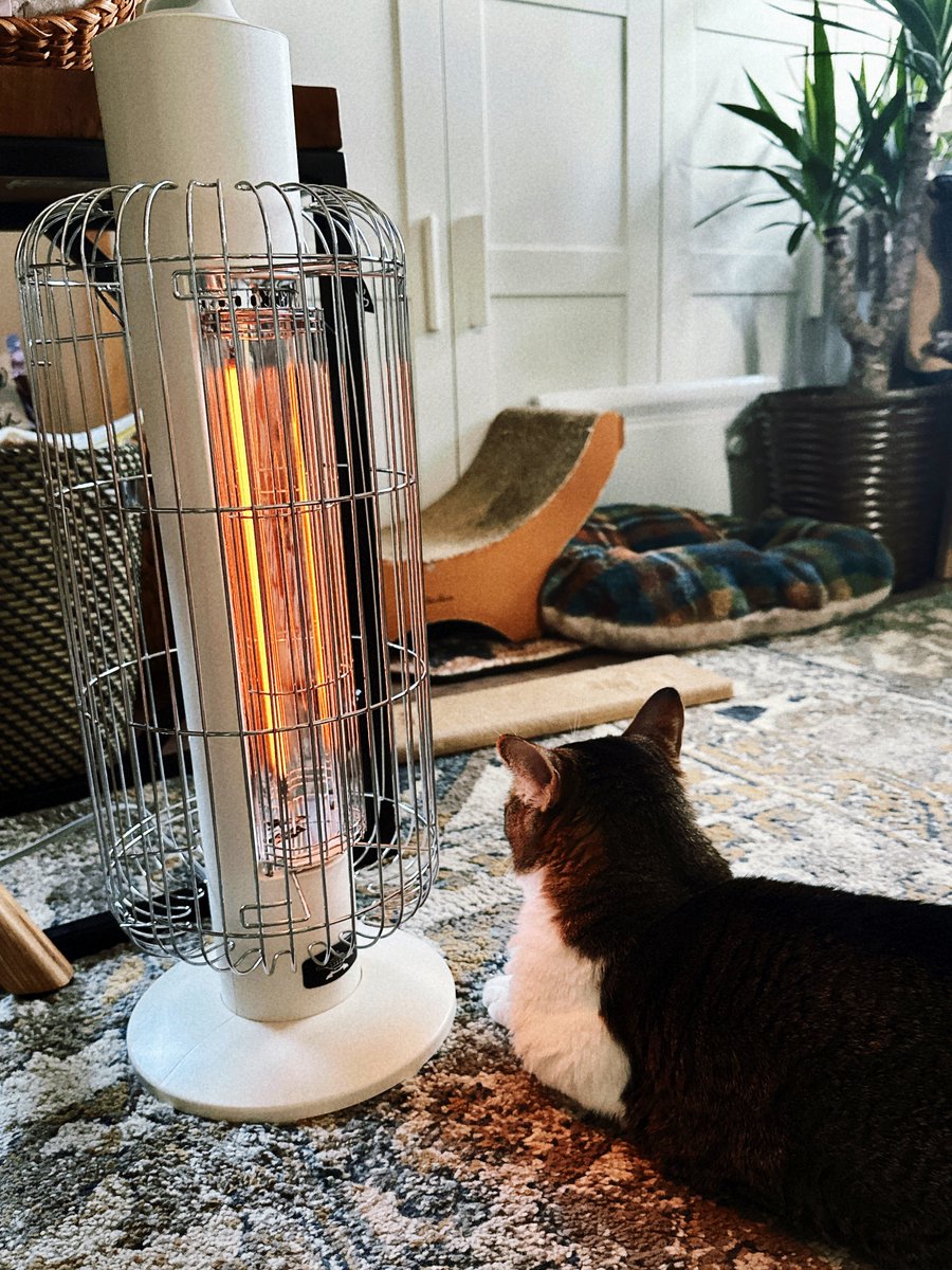 サコ様 サコ (@sacoeco) / Posts / X