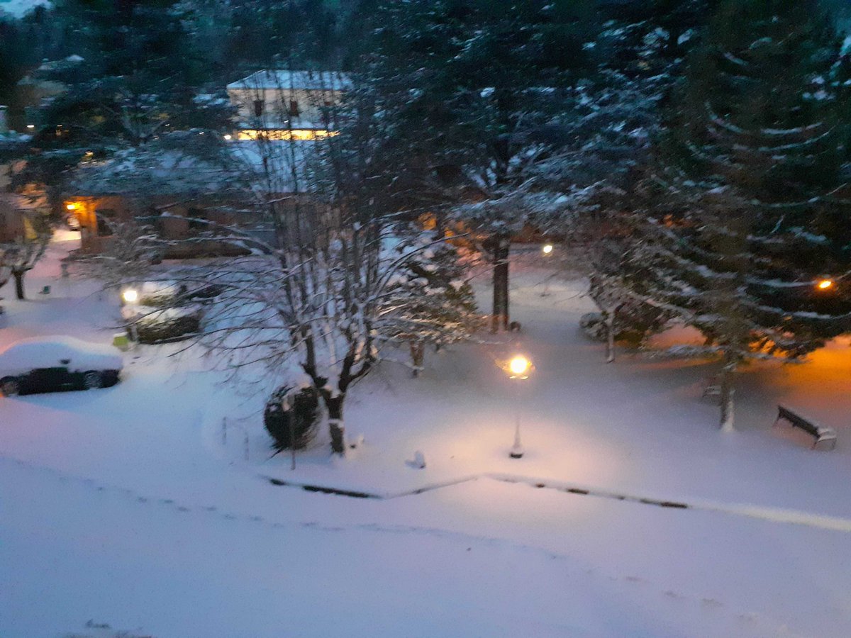 pelargonium06's tweet photo. TENDE sous la neige ce samedi au réveil 😉 https://t.co/ZUZEIodEZq