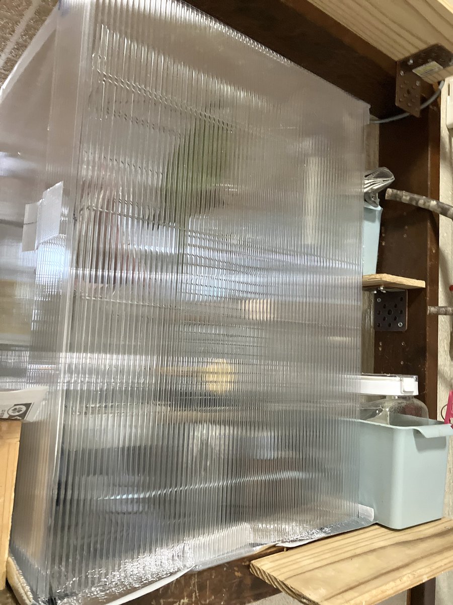 冬仕様でこぶのゲージ囲うポリカの箱を作ったんだけどちょっとこれじゃあ見えなさすぎだよなぁ…どうしようかなー
前だけアクリル板が理想だけどわいの力量じゃ無理そう
ちなみにこれはコーナーでポリカ曲げてあるだけだからテープで止めてないと勝手に開いちゃう仕様