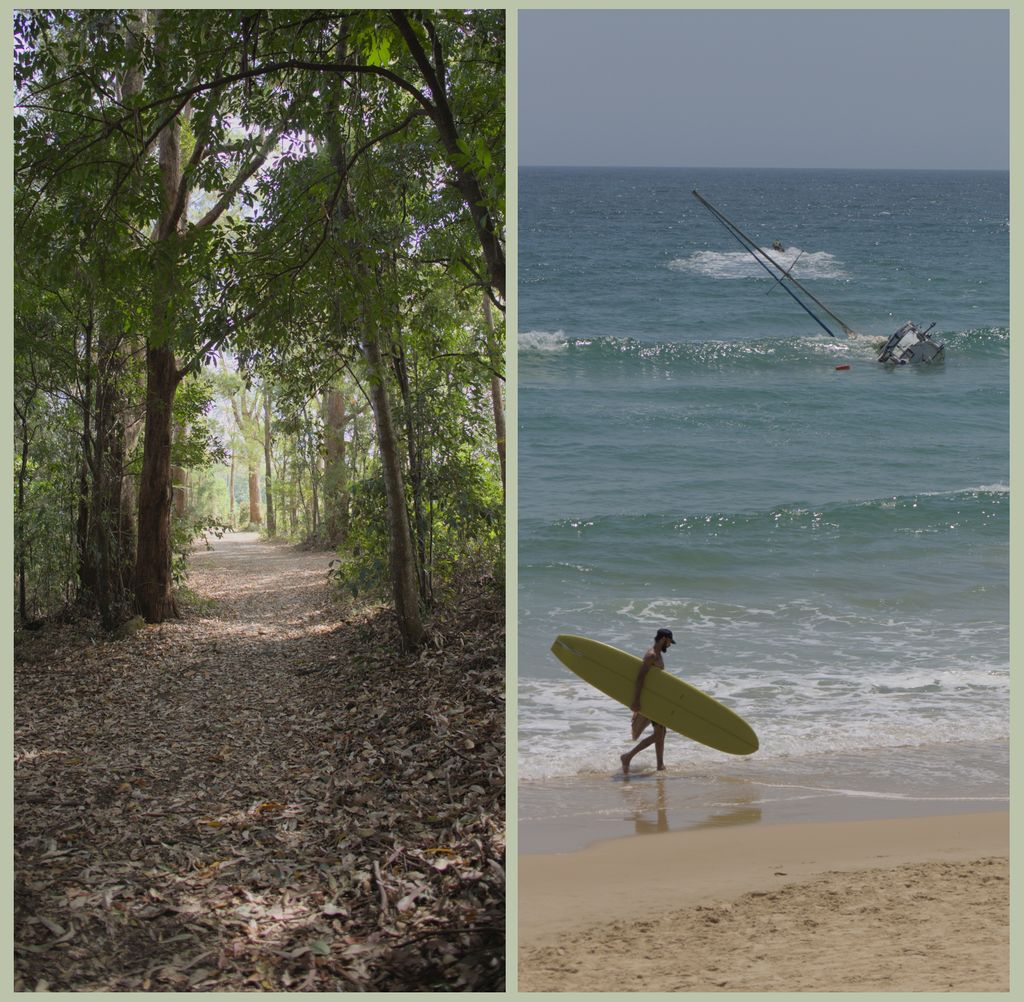 binocularity's tweet image. A Spring weekend in #Queensland; Eucalyptus forests, beach walks and ship wrecks. 

#Noosa #Mapleton
#canonphotography