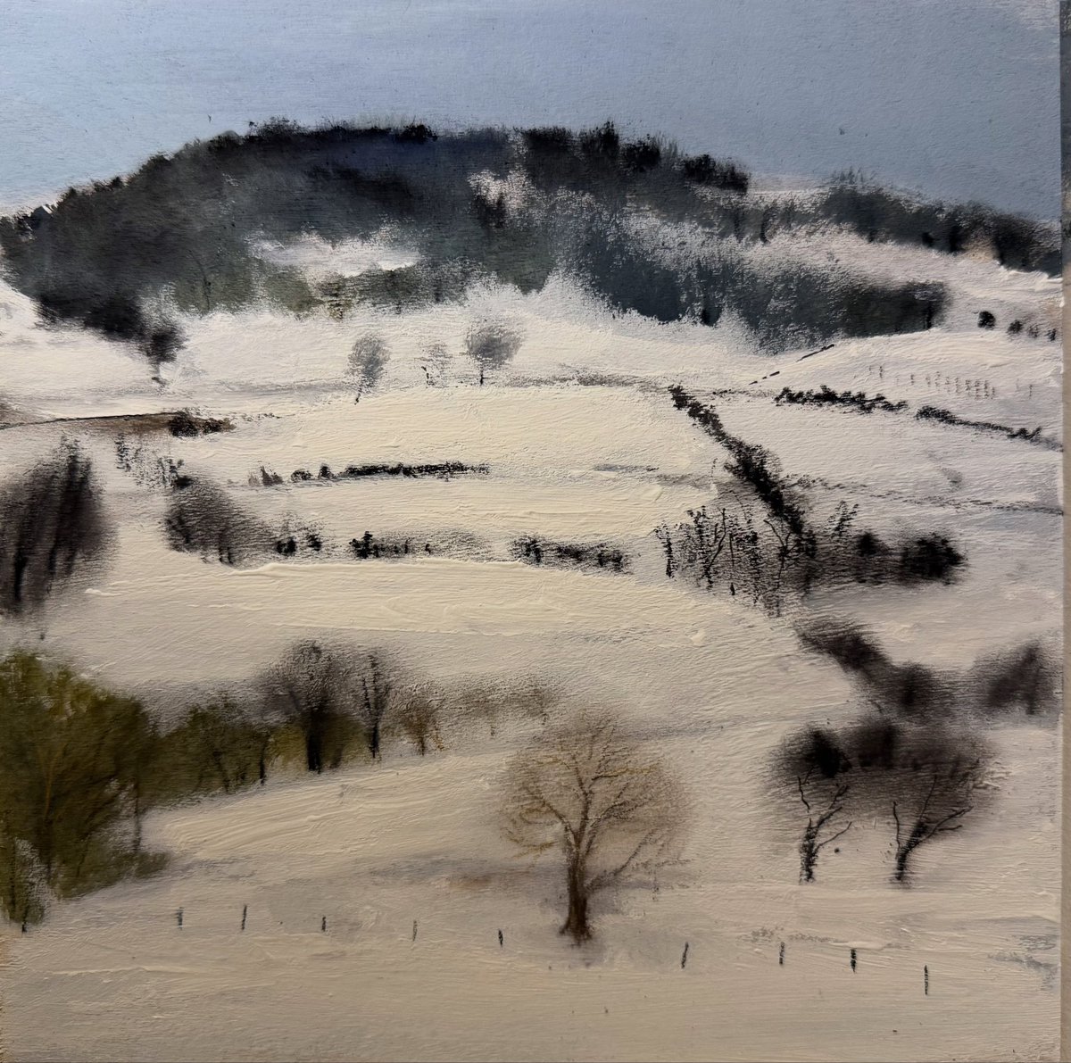 SarahjevsEvans's tweet image. Some of my winter paintings