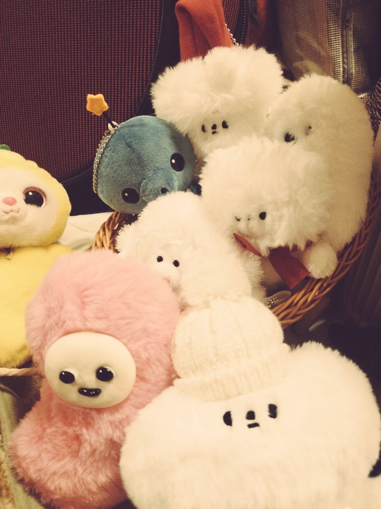 おふとん天国 (@OFUTON_SOFVI) / Posts / X