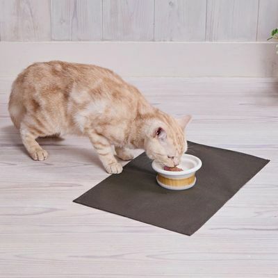 shippoTVshop's tweet image. ペティオ (Petio) 猫用食器 necoco 食べやすい 木目調 陶器食器 ウェットフード向き🍽️

ウェットフードが食べやすい工夫がいっぱい！傾斜と段差でフードが集まりやすく、こぼれにくい設計。
木目調デザインでお部屋にも馴染みます✨

#ShippoTV通販部 #お買い物でレスキュー
shippo.tv/c/outlet/g-pet…