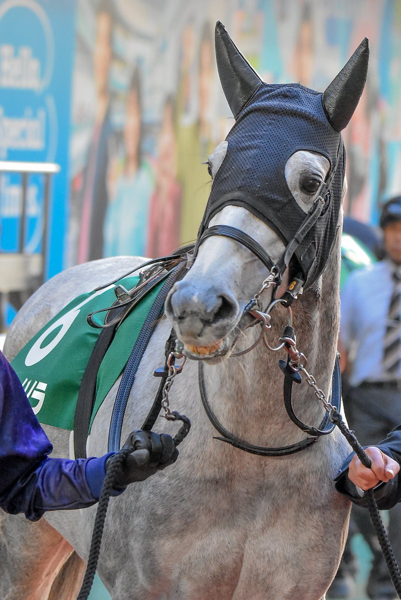 E3%82%B3%E3%82%AC%E3%83%8D%E3%83%8E%E3%82%BD%E3%83%A9