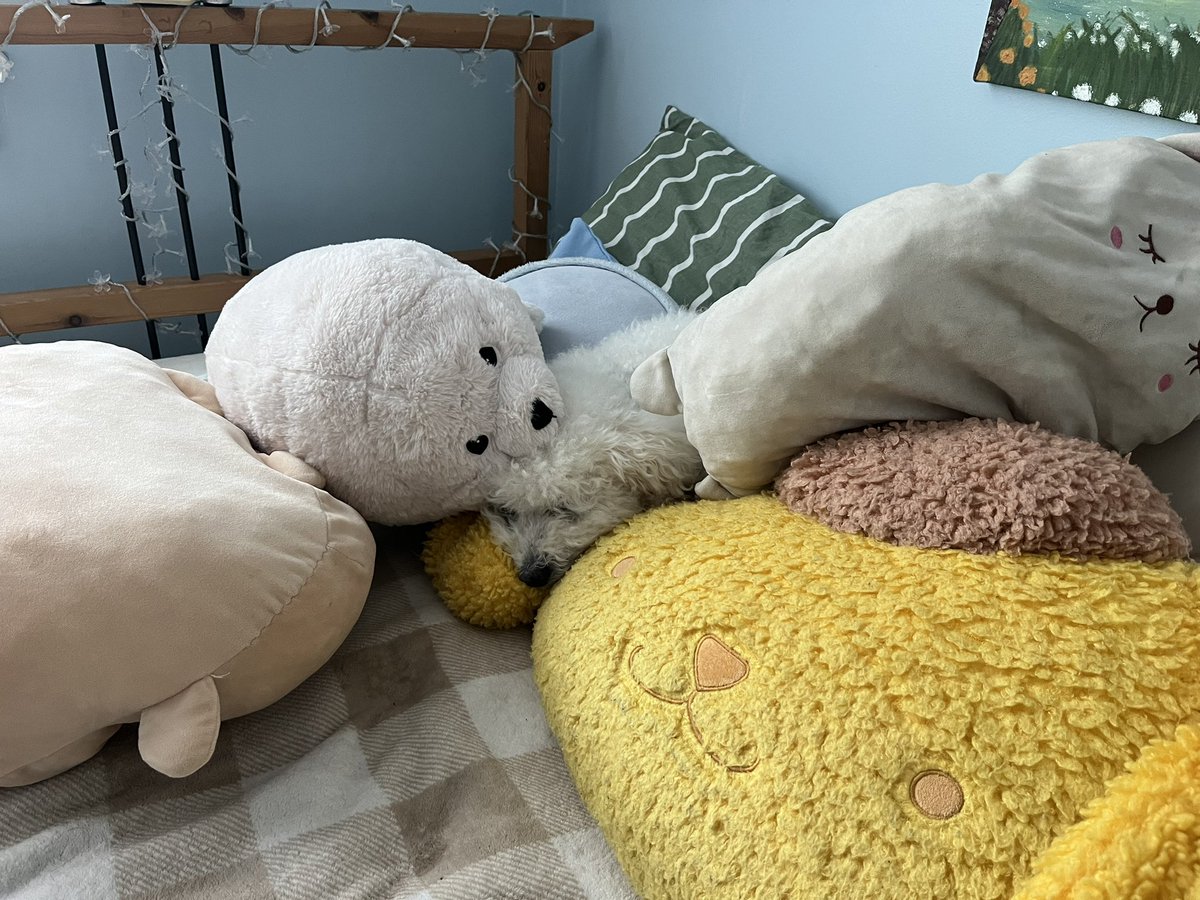 FuzzyParadox's tweet image. Took me a minute to find him today.
He blends in so well