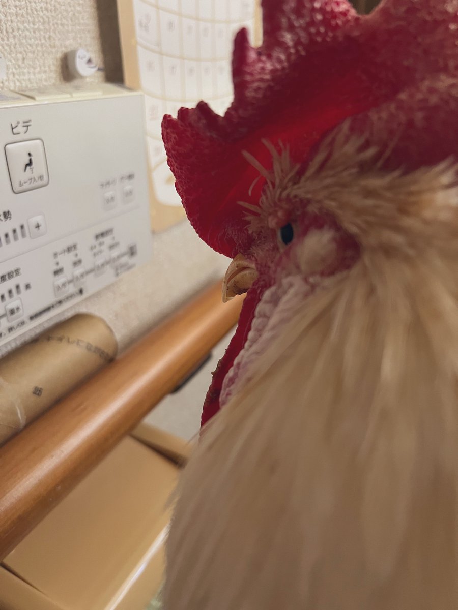 もりもっこり☆ もっこり (@Mokkori_17) / Posts / X