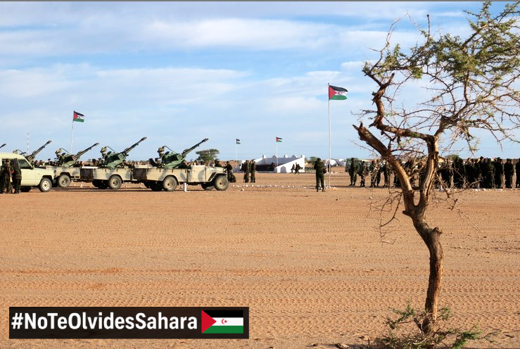 NO TE OLVIDES DEL SAHARA OCCIDENTAL, ningún día... NUNCA 📷📷📷
TODAS las noticias del SAHARA OCCIDENTAL en tu WhatsApp aquí
whatsapp.com/channel/0029Va… | en TELEGRAM en t.me/MUSAharaui | en BLUESKY en bsky.app/profile/carlos… | Y más información en noteolvidesdelsaharaoccidental.org