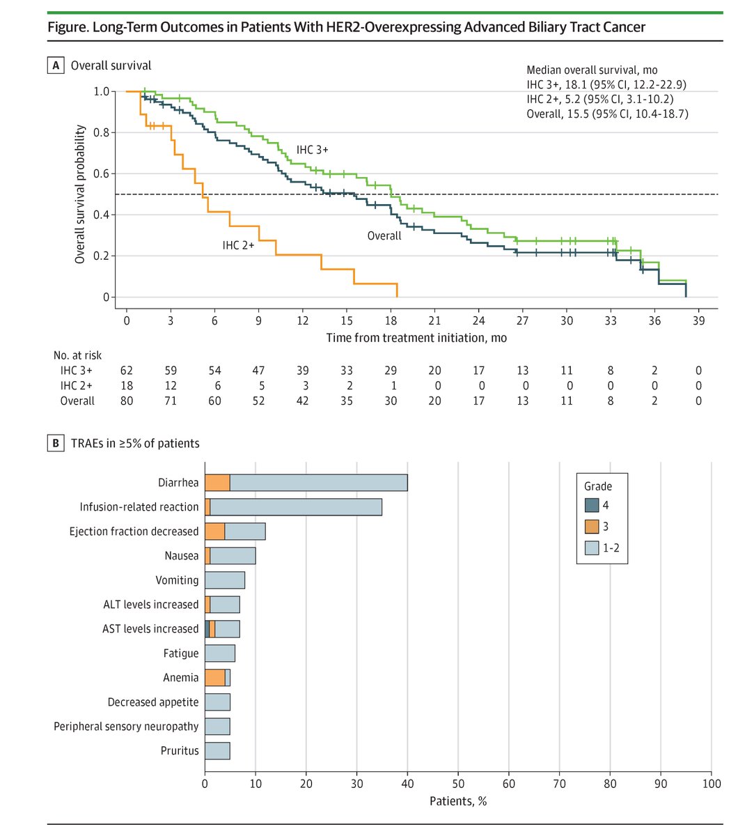 JAMAOnc's tweet image. For adults with metastatic HER2-positive #BiliaryTractCancer, zanidatamab led to longer overall survival and reduced pain, supporting its role as a precision therapy option. ja.ma/3LX1GuL