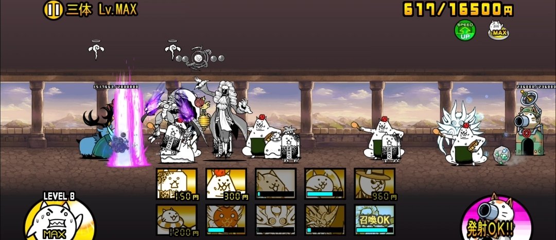 にゃんこ❕プロフ必読❕ にゃんこムキャキン (@LhfoPe) / Posts / X