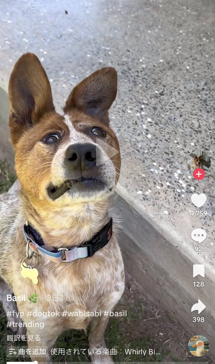 DB_Daijiro's tweet image. 最近海外で「侘び寂び」のトレンドがめっちゃバズってるなーー「不完全なもの中に美しさがある」の文脈から転じて、自分がコンプレックスを抱えている部分を見せて「Wabi Sabiだぜ！」と肯定的に投稿するのが凄い流行ってる