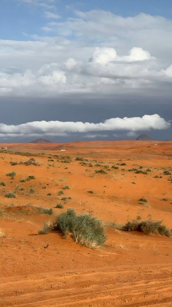 نسيم الضحى 🌦️