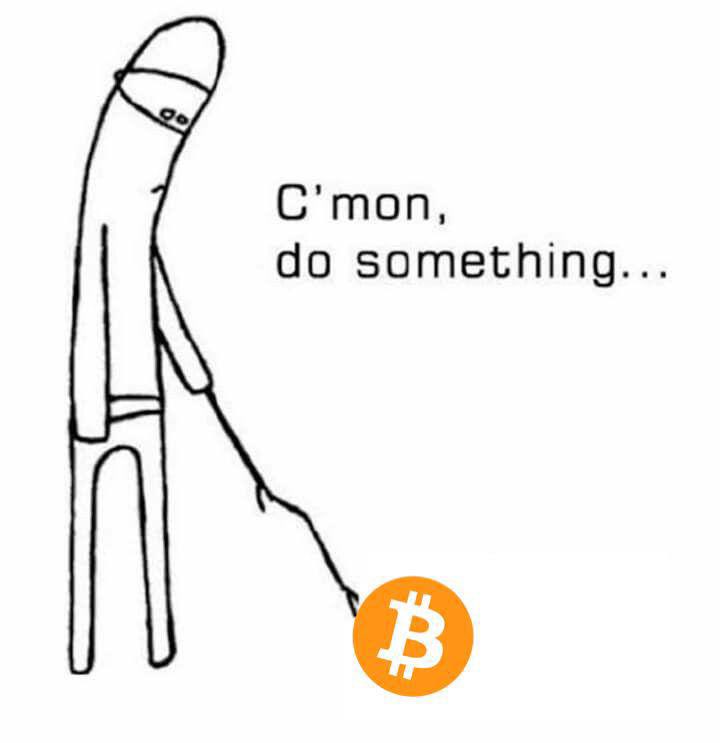 Crypto 4 Light (@vladi4light) on Twitter photo 