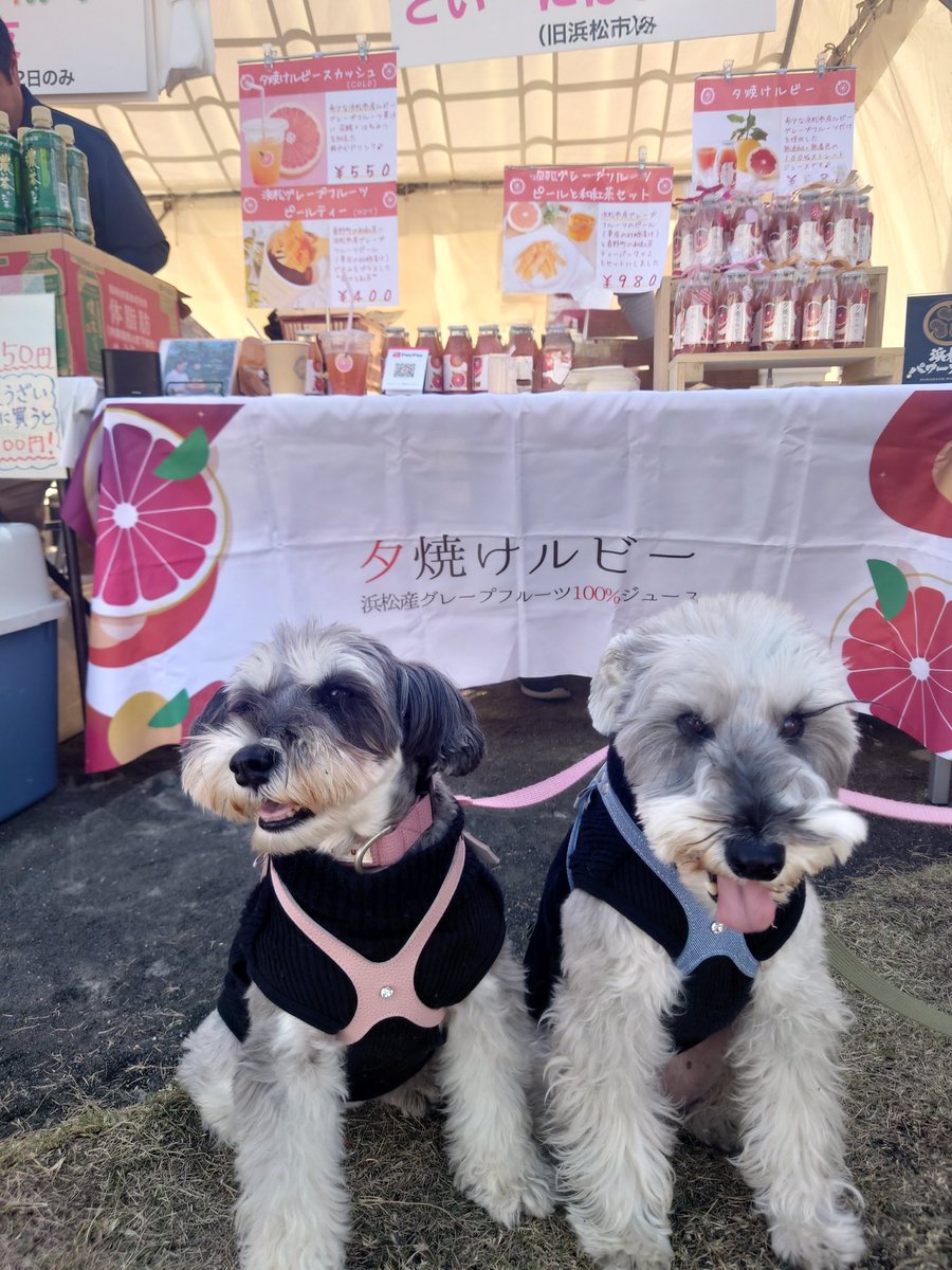 tk_6005's tweet photo. やっと買えたよ〜❤️
夕焼けルビー
ついでに、グレープフルーツのピールも一緒にゲット🎶

#夕焼けルビー https://t.co/ALI5IQPttE