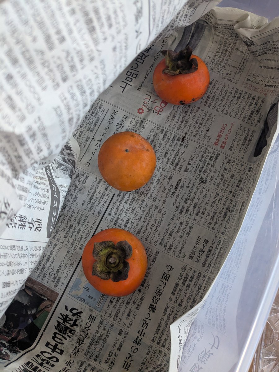 h_secondlife's tweet image. 柿を取るのに脚立を貸した時、大量に柿をもらいましたが残り3個となりました
毎日食べてました😆

#柿 #田舎暮らし #移住