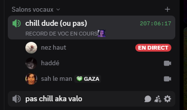 neozvlr's tweet image. 200h bientôt 1 quart des 1000h