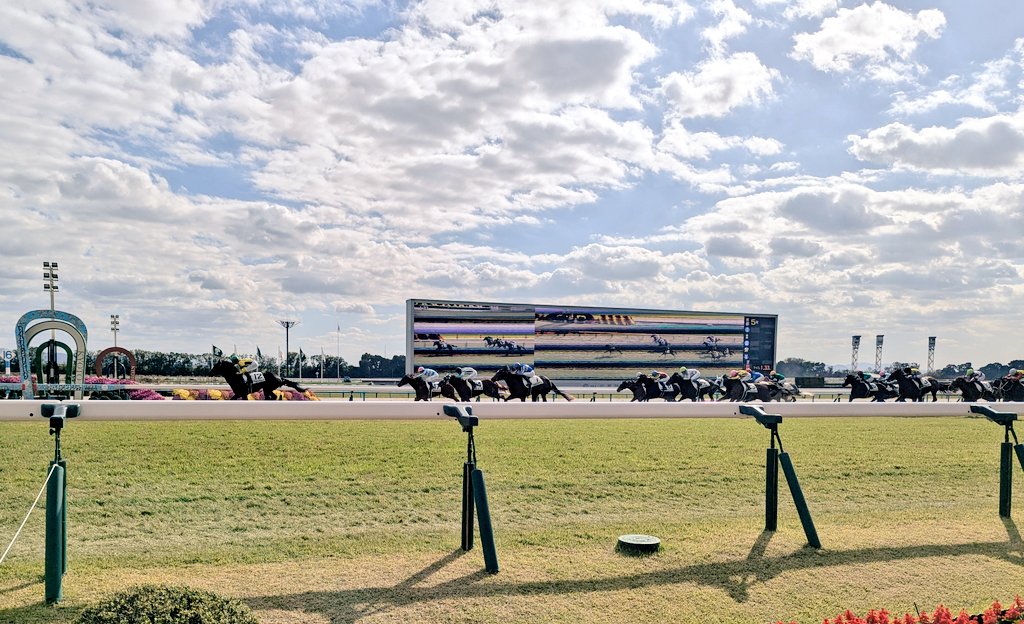 mob_chin's tweet image. カッケェ...✨️