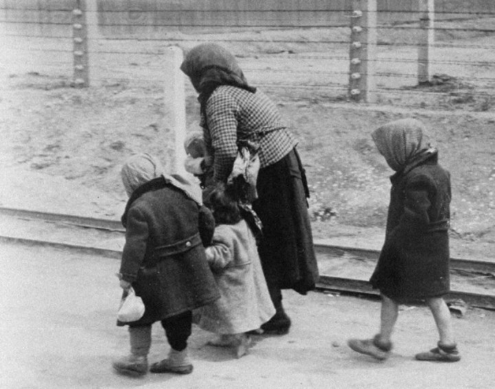 Auschwitz 1944
Großmutter mit Enkeln auf dem Weg zur Gaskammer
Kein Vergessen! FCKAFD!
#Holocaust #Relativierung  #Menschheitsverbrechen