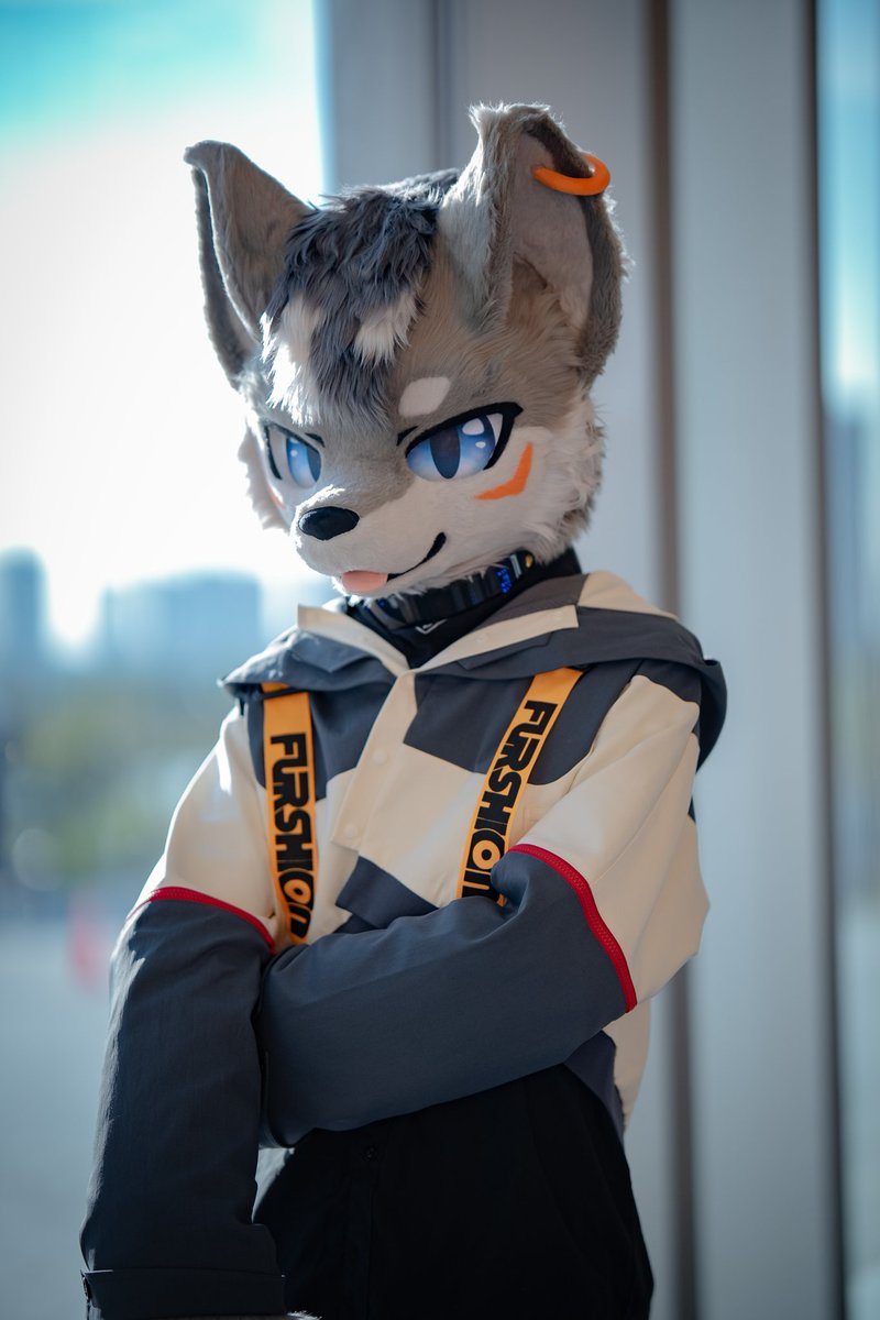 LYKOS_42's tweet image. #fursuitfriday 

“好狼配好腰~”
&quot;Wolfie has a great waist~&quot;

📷：@多多