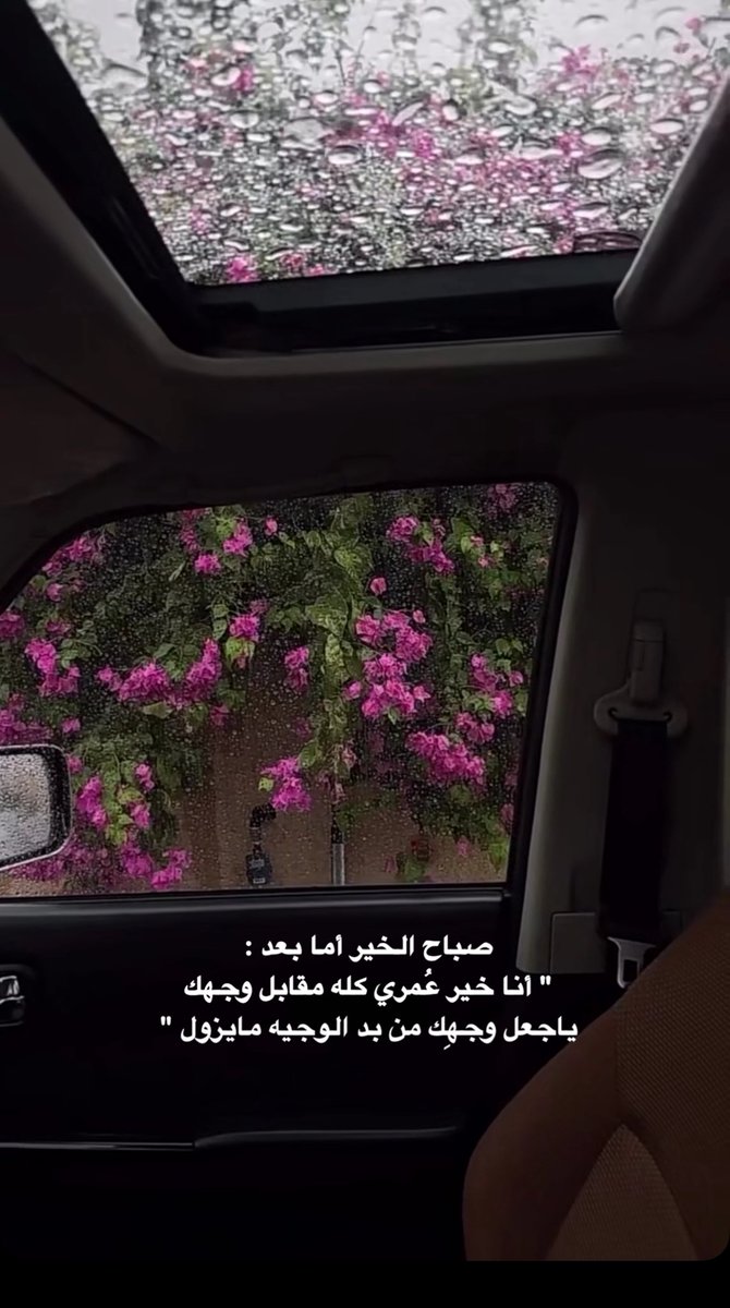 #صباح_الخير 
 #النفسيه_محتاجه_شهود_وتوقيع𓄿