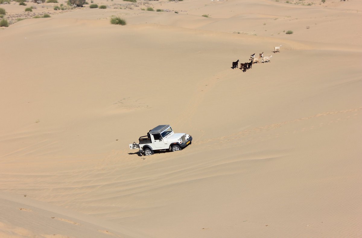 Got this aerial top shot by standing atop a high, hill-like sand dune. 
Shot on: Canon 
Photography: Manish Gupta