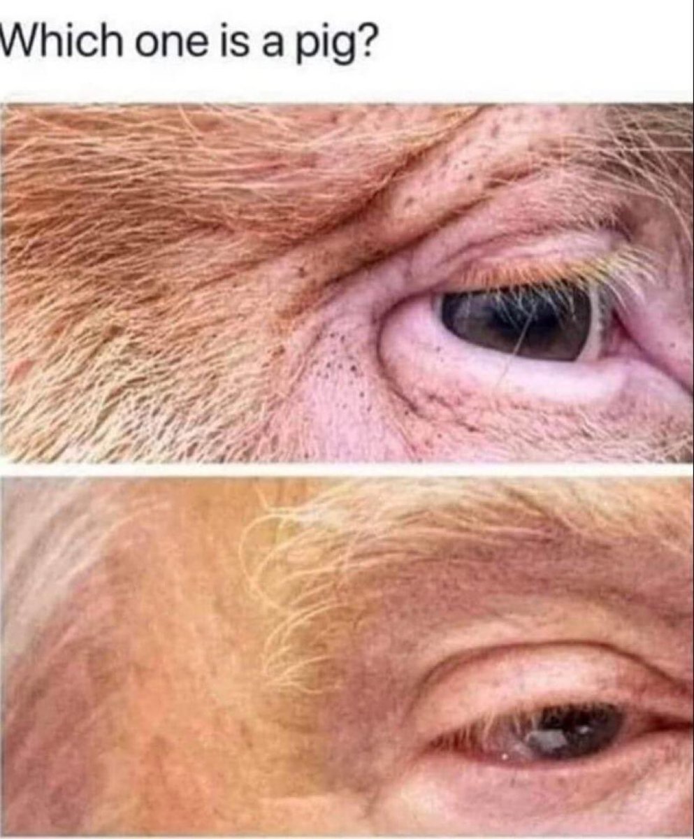 CensoredHumans's tweet image. 