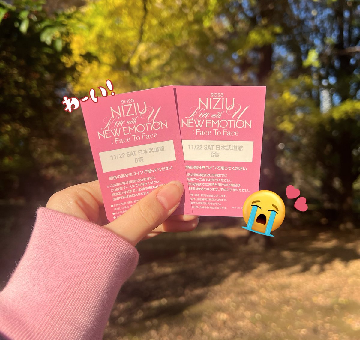 か の ん ち ゅ (@pyon_miihi_S2) / Posts / X