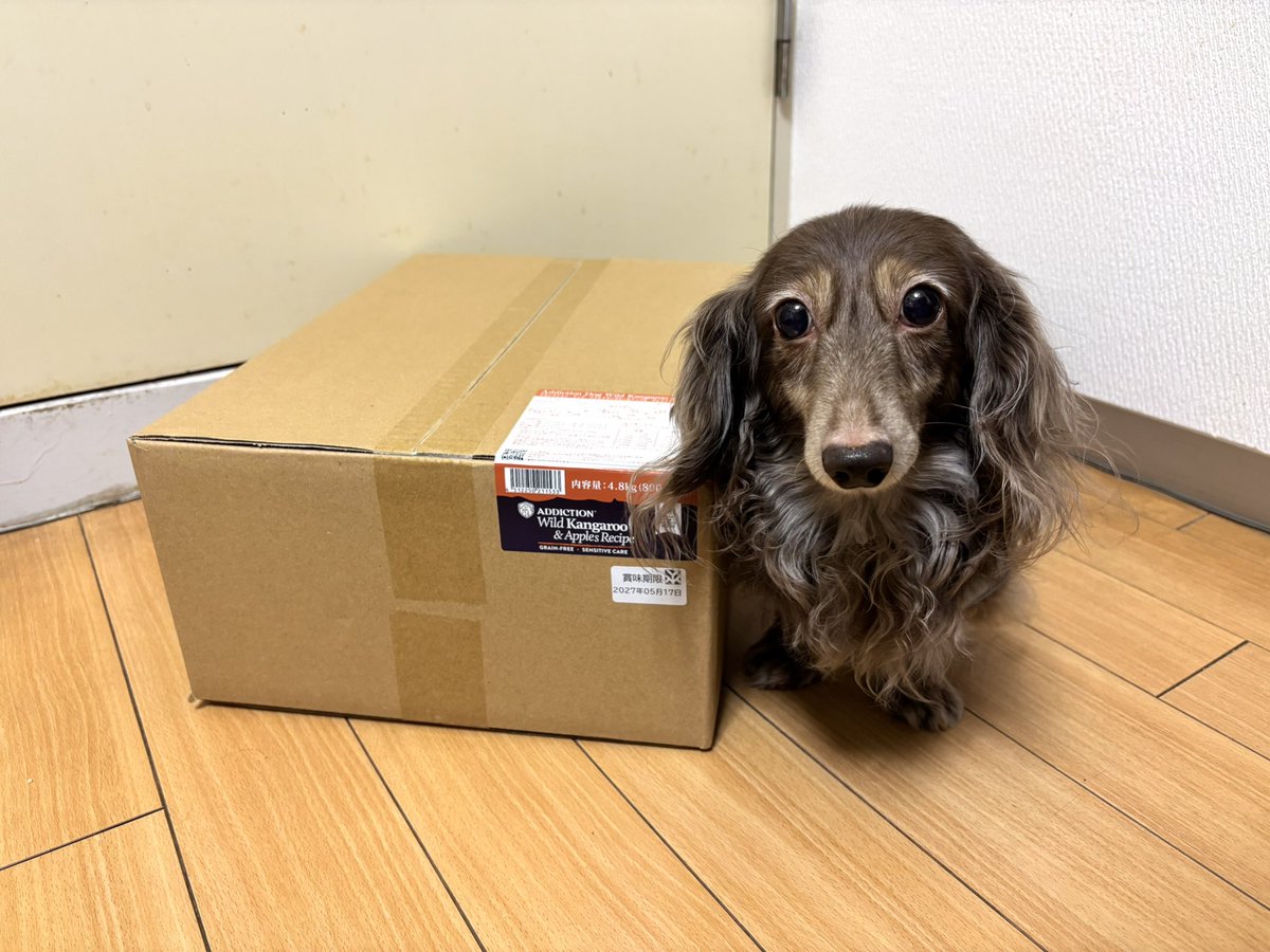 tibi_makiusa's tweet image. 11月22日、いつもなら『なちゅのごはん』さんで1.8kgを注文してるのですが、楽天市場でBlack Fridayセールをやっているので、ビッグサイズの『アディクション　ワイルドカンガルー&amp;amp;アップル　4.8kg』を買ってみましたー‼️
2026年の🐶の🗓️と『うんちが臭わない袋』をプレゼントしてくれたよ😊