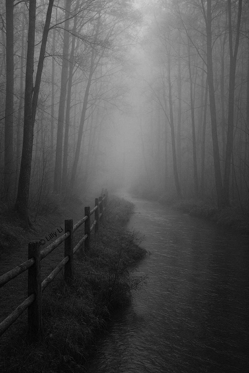 Autumn will be my friend. 
✍️Anna Akhmatova 
📷<a href="/LillyLi48/">𝓛𝓲𝓵𝓵𝔂</a>