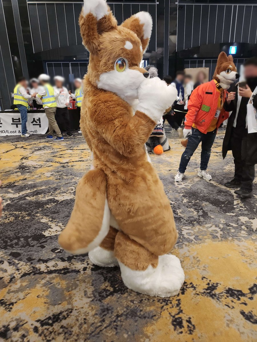 pp (퍼슈트 계정) tweet media