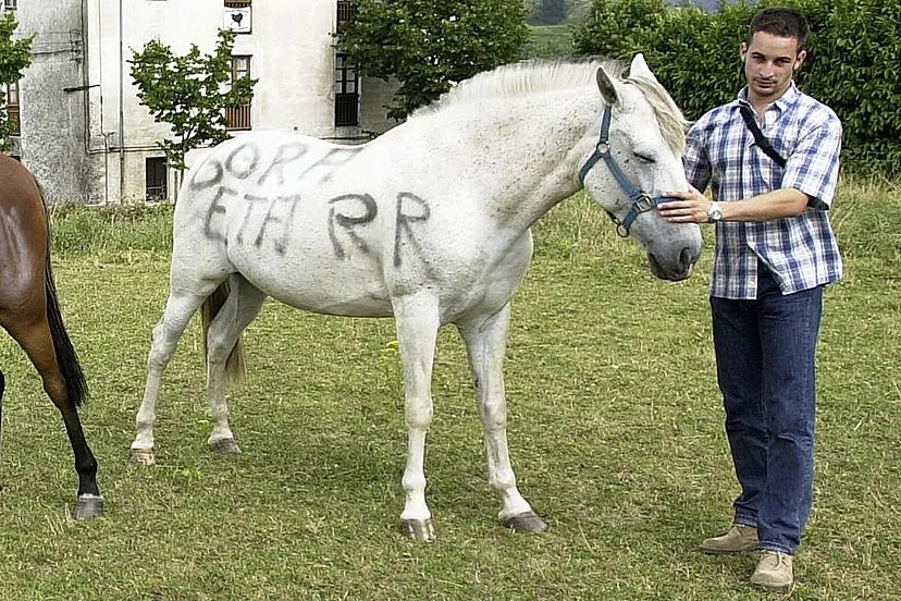 LuisGestoso's tweet image. Hay que ser muy hijo de perra para poner ese tuit. 

Lo PP.