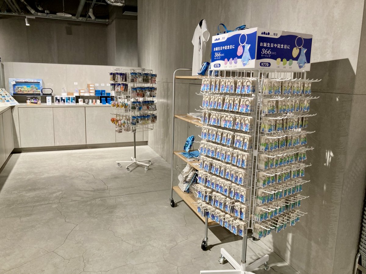 お誕生日や記念日におすすめ✨ 新発売！AOAO SAPPOROオリジナル「366