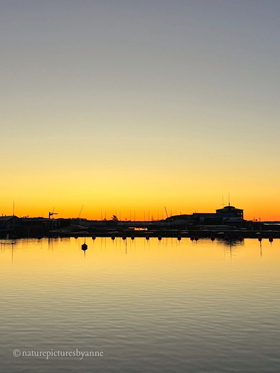 Hellstrom_A's tweet photo. Hieno aamu 🧡 #helsinki https://t.co/FI7zQT8dB5