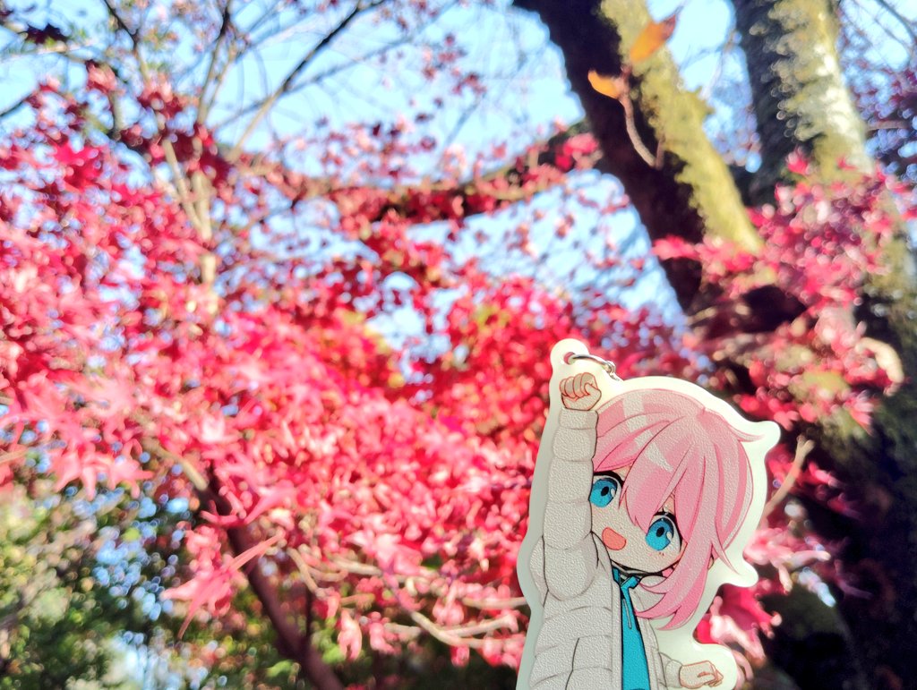 camp_camp0304's tweet image. 富士宮やきそばを食べに富士宮へ🗻
チーズ、塩、ソースやきそば美味しかったです😃

時折見せる晴れ間に降り注ぐ紫外線が良き☀

富士宮本宮浅間大社の紅葉が綺麗に色ついてました🍁

#各務原なでしこ
#富士宮