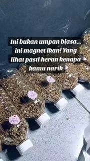 rajamenje's tweet photo. Ayo, lihat videoku di Shopee Video!  https://t.co/bkulNEy9Bg https://t.co/udmRit4l4X