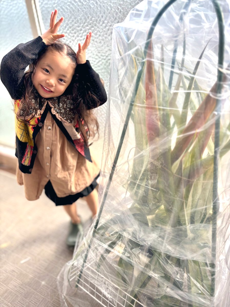 古川 いろは🌱 (@irohairoiro1219) / Posts / X