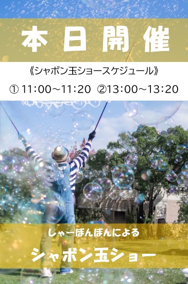 itozu_zoo's tweet image. 《本日開催📣鑑賞無料》
本日（11/24）は、しゃーぼんぼんのシャボン玉ショーが芝生広場で開催されます✨
お見逃しなく😊
#到津の森公園 #ItozuZoo #しゃーぼんぼん #到津の森紅葉フェア