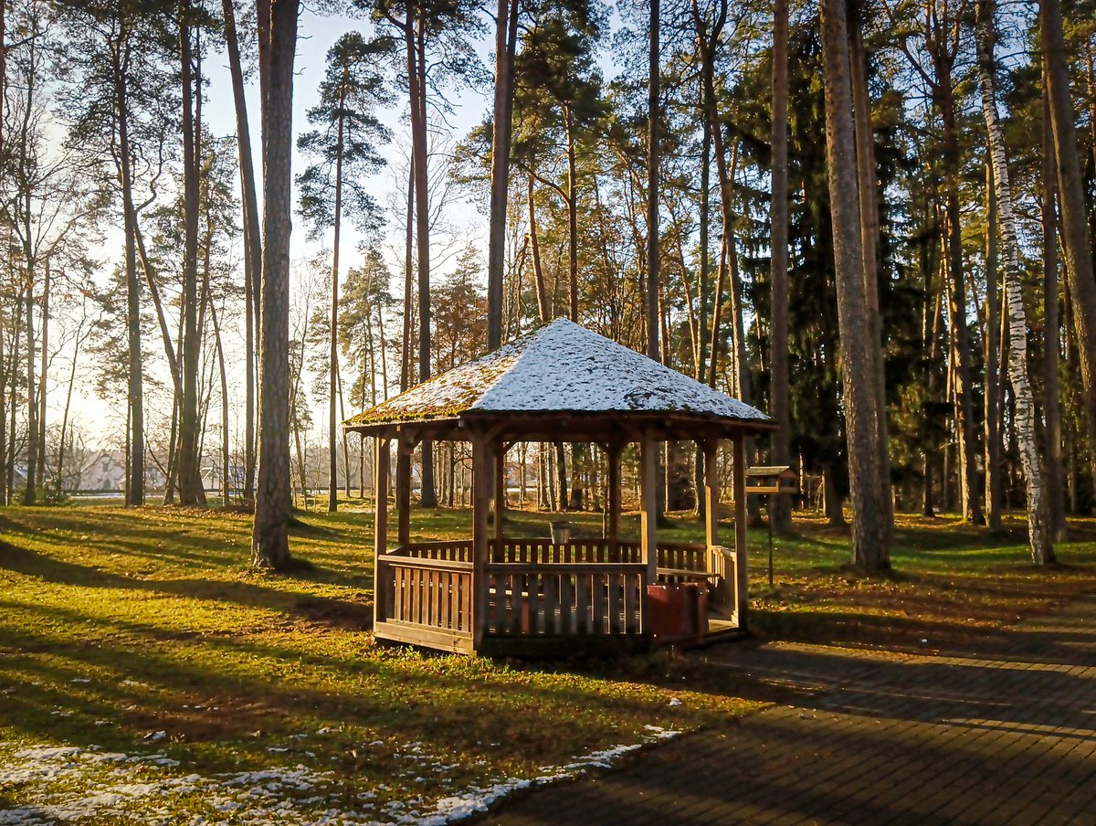 LatvianNature's tweet image. Viltus pavasaris Strenčos. ☘️🌷

#pavasaris #spring #nature #daba #naturephotography #latvija #latvia #lv #novembris #november