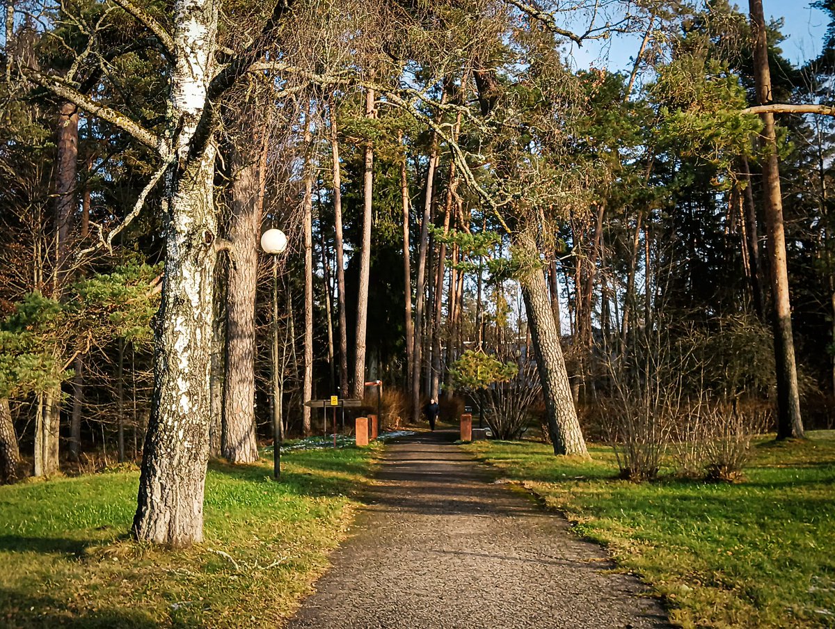 LatvianNature's tweet image. Viltus pavasaris Strenčos. ☘️🌷

#pavasaris #spring #nature #daba #naturephotography #latvija #latvia #lv #novembris #november