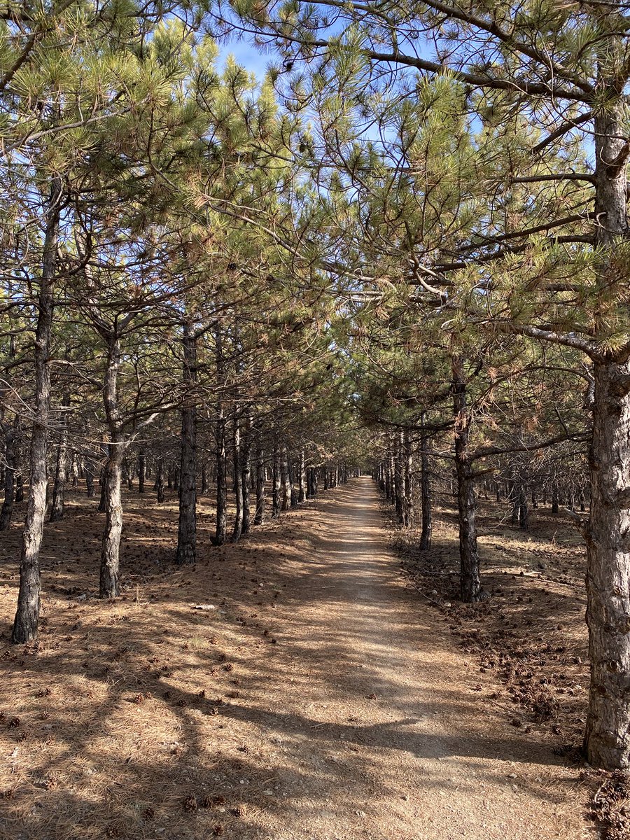 Mehmet ÖZBAY (@mburakozbay) on Twitter photo 