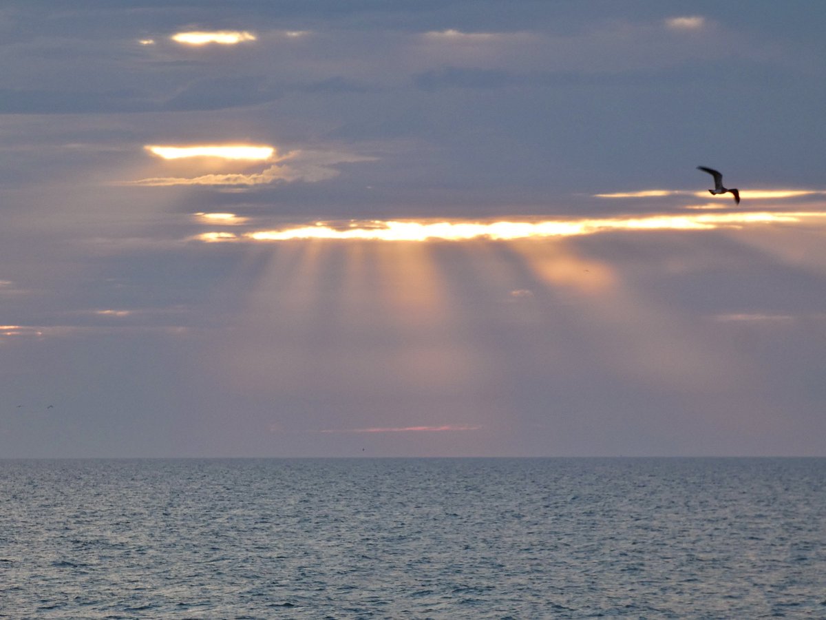 Good morning! #SunsetBeach <a href="/EdPiotrowski/">Ed Piotrowski</a> <a href="/medwick/">Gannon Medwick</a> <a href="/DylanHudlerWXII/">Dylan Hudler</a> <a href="/jamiearnoldWMBF/">Jamie Arnold WMBF</a> <a href="/LeeHaywoodWX/">Lee Haywood</a> <a href="/dogwoodblooms/">Cassie Clark</a> <a href="/marioncaldwx/">Marion Caldwell</a> <a href="/JustinMcKeeWx/">Justin McKee</a> <a href="/StarboardRail/">The Starboard Rail</a> <a href="/ThePhotoHour/">#ThePhotoHour</a> <a href="/Christina4casts/">Christina Anthony</a> <a href="/CMorganWX/">Christian Morgan</a> <a href="/AndrewWMBF/">Andrew Dockery</a> <a href="/ScottyPowellWX/">Scotty Powell</a> <a href="/jgreenhillwx/">Jenna Greenhill</a> <a href="/matt_wx/">Meteorologist Matt Bullock</a> <a href="/TimBuckleyWX/">Tim Buckley</a> <a href="/clairefrywx/">Claire Fry</a>