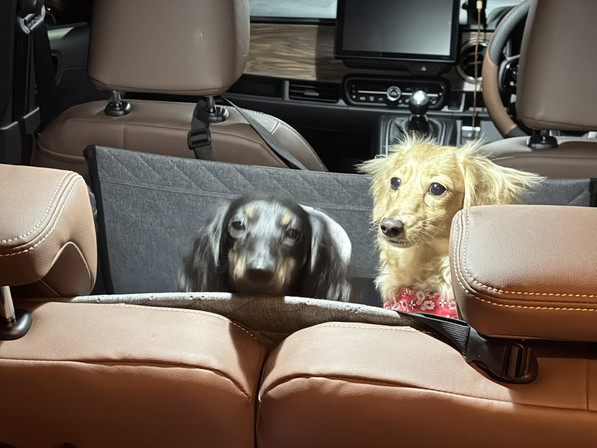 tomoS660ModuloX's tweet image. 全九に向けて出発〜🚗³₃