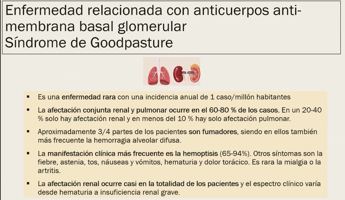 Asociacion Andaluza de Enfermedades Autoinmunes tweet media
