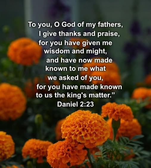 mrsbaprice's tweet photo. THANKSGIVING COUNTDOWN...DAY 5
UNTIL NEW LIFE IS FOUND......
Shame is not a common word, we rarely hear it spoken....
Yet, Jesus took it on the cross, and not just as a token.
For human nature manifests the sin that keeps us bound....
While guilt and shame are glorified UNTIL NEW LIFE IS FOUND.