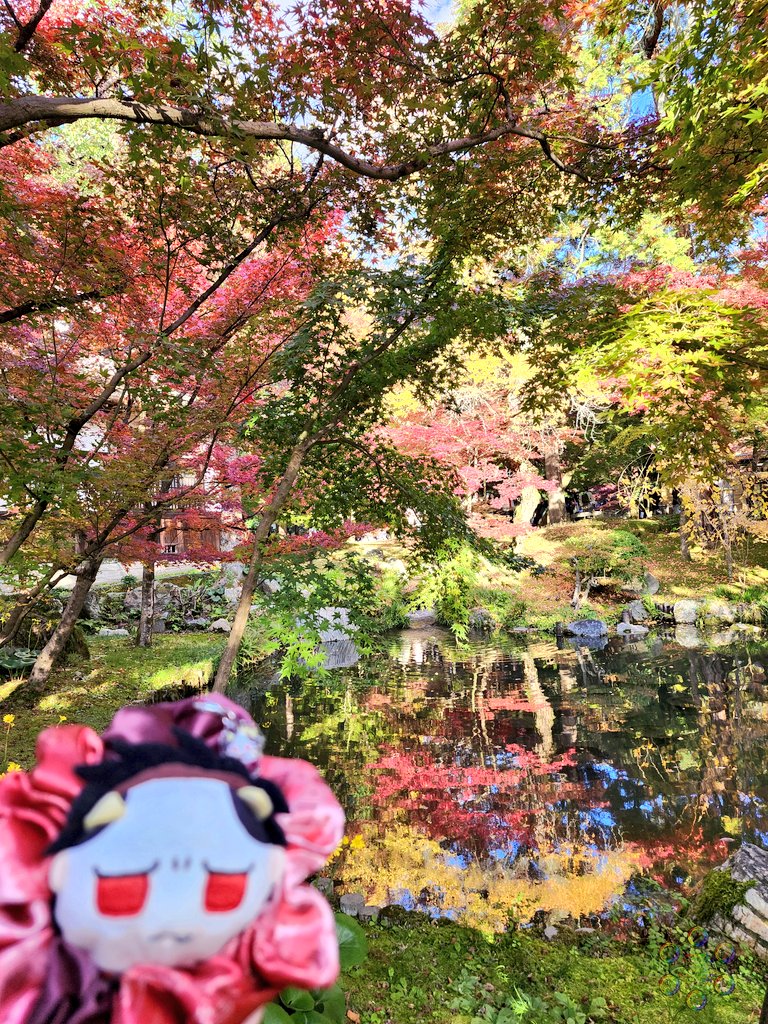 micra_ms_sp's tweet image. もちぬいちゃんとアクスタでも撮影挑戦したけどバランスがなかなか難しい(笑)
一枚目のところマジで映えがすごかった🤗🍁
#MSSPフォト