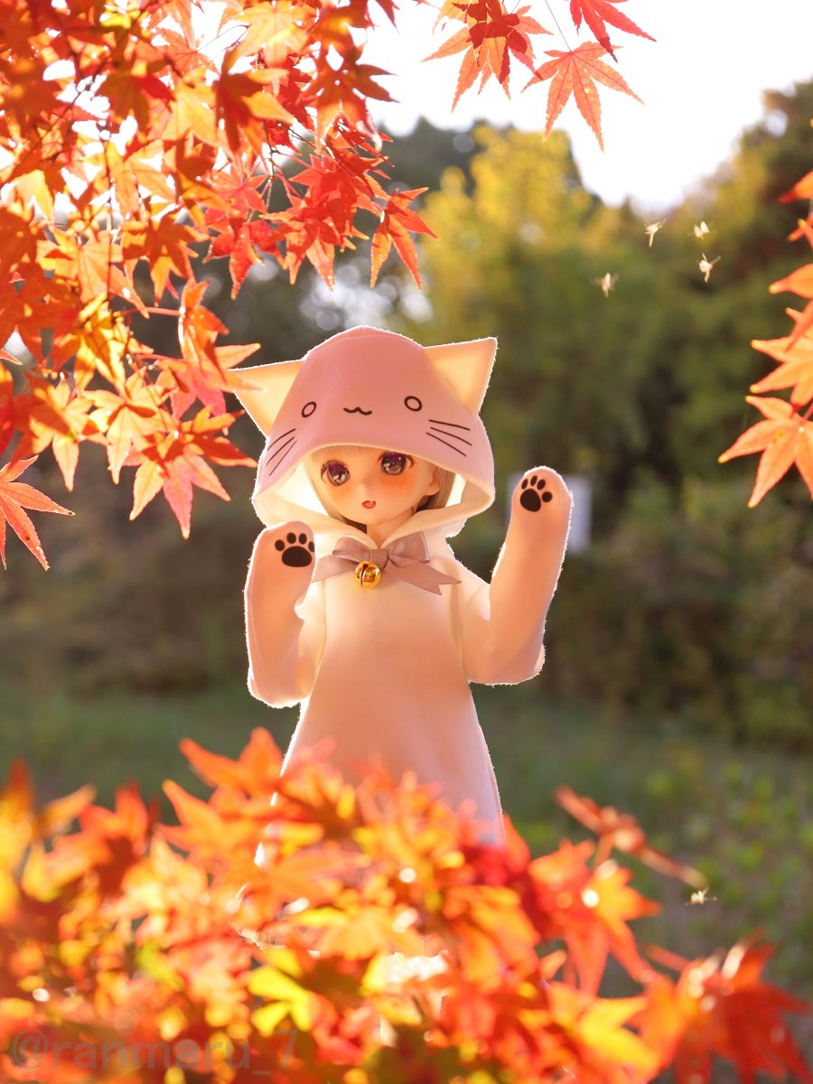 ranmaru_7's tweet image. 夕やけニャンニャン(^^♪
#いいにゃんにゃんの日
#うちのこかわいい
#ゆいっ子