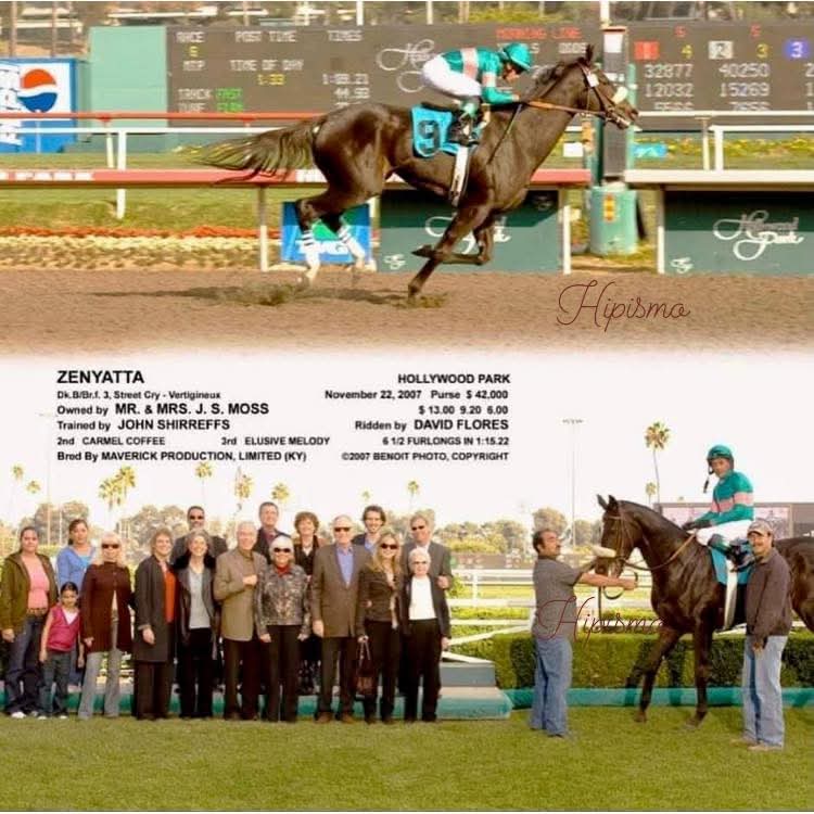 November 22, 2007
Zenyatta 
Mdn
David Flores up