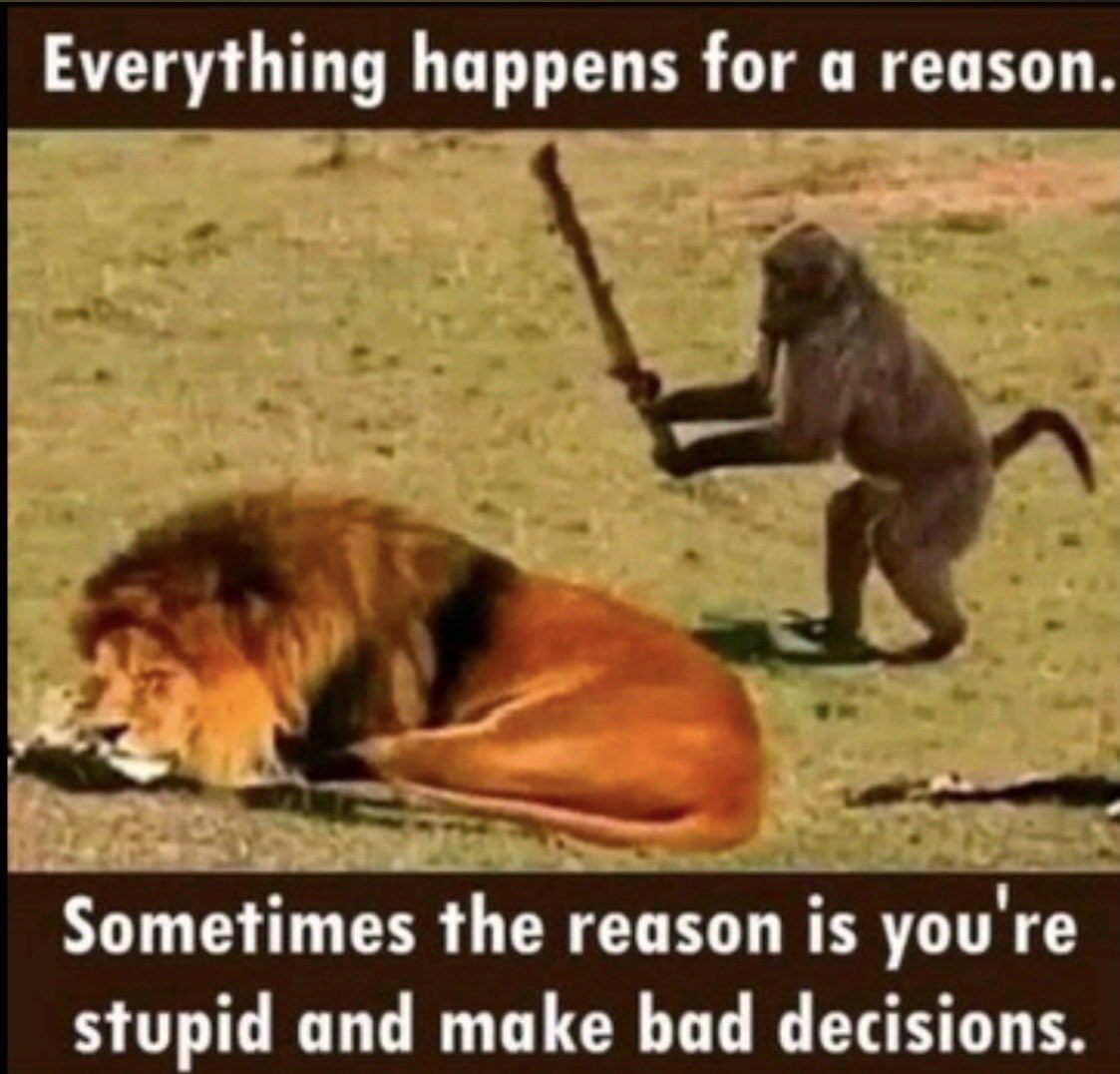 carimeli's tweet image. Bye bye #MarjorieTaylorGreene who?