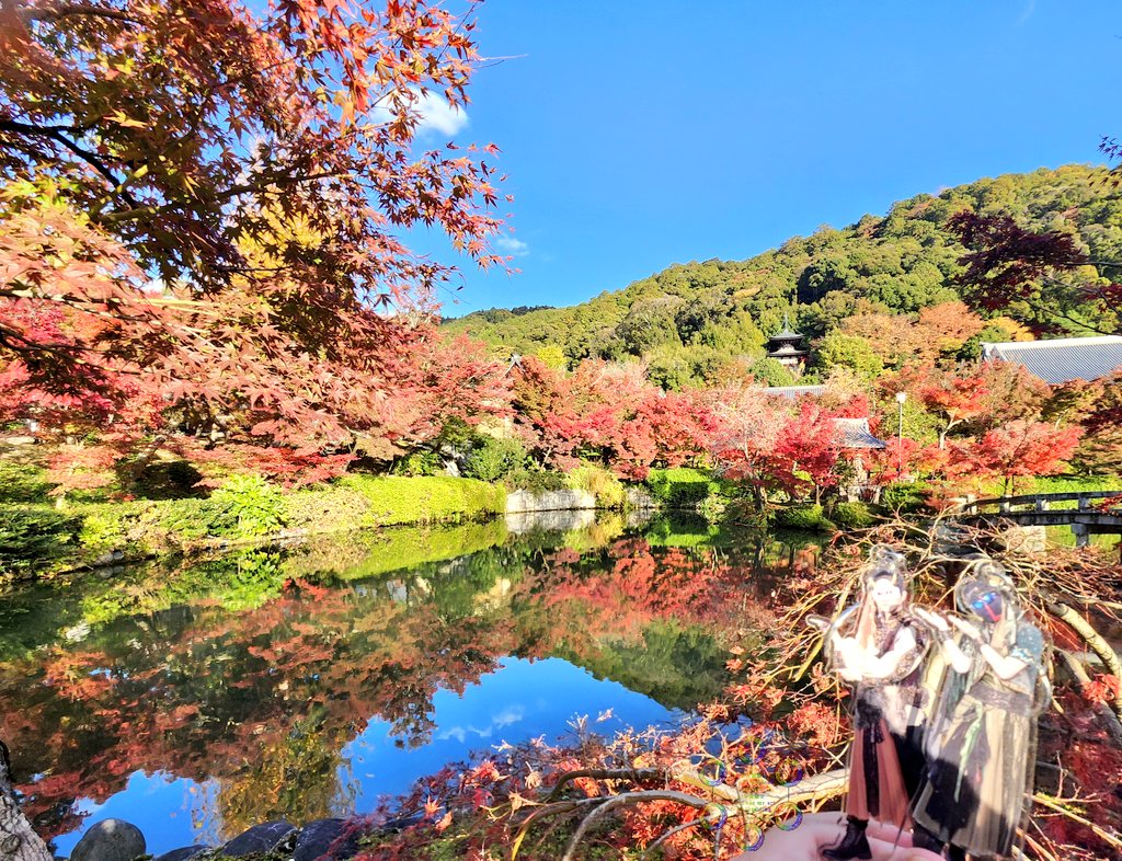 micra_ms_sp's tweet image. もちぬいちゃんとアクスタでも撮影挑戦したけどバランスがなかなか難しい(笑)
一枚目のところマジで映えがすごかった🤗🍁
#MSSPフォト