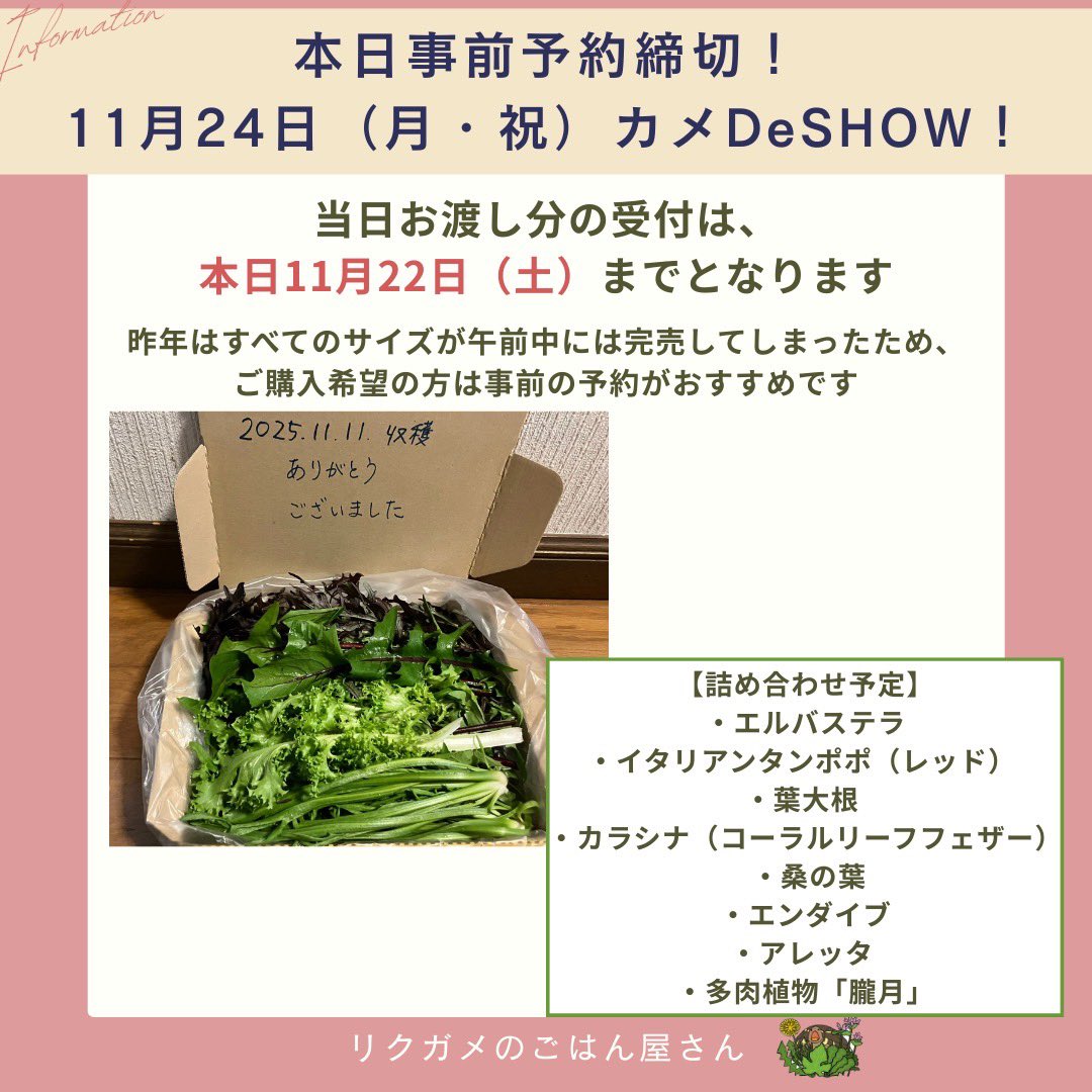 リクガメのごはん屋さん (@rikugamenogohan) / Posts / X